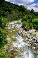Fototapeta na wymiar Mountain river in Cordiliera Central, Colombia, South America