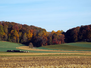 Fall Season Lancaster County Pennsylvania 2