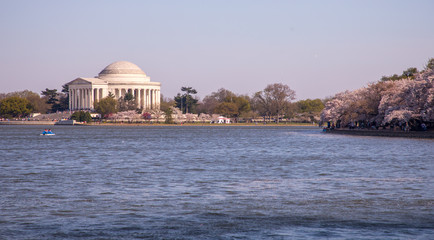 Washington DC Monuments Cherry Blossoms