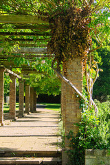 arches over park path with trees