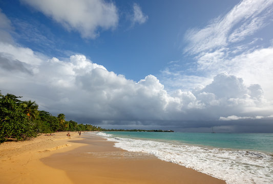 Beautiful beach in Martinique, Caribbeans. Caribbean Martinique. les salines beach