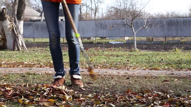 Autumn leaves woman clean rake. autumn garden work
