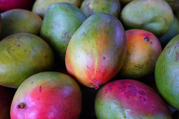 Fresh red and green mango fruit at a road stand in Maui, Hawaii