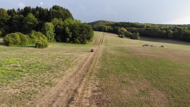vol a&eacute;rien pour suivre un buggy qui fonce sur des chemins de campagne &agrave; travers champs et for&ecirc;ts