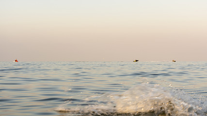 Fototapeta premium evening sea with waves, far away on a horizon line floating ship, nature abstract background