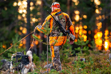 Hunter and hunting dogs chasing in the wilderness