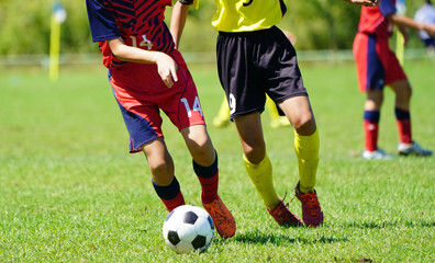 Fototapeta premium サッカー フットボール