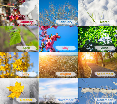 blank with different twelve colored images of nature for calendar.