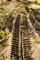 Reifenspuren im Matsch
