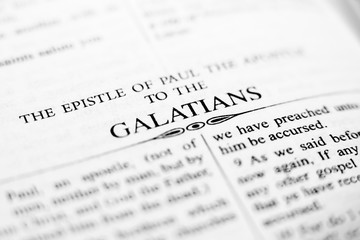 Fototapeta premium The holy bible close up
