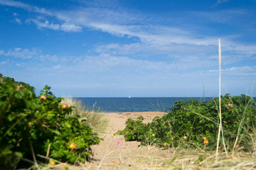 Baltic Sea