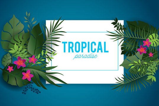 Tropical nature background