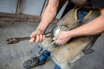 farrier putting horse shoe