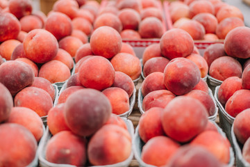 Farm Fresh Peaches. Healthy organic food