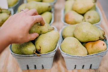 Farm fresh pears, organic healthy food