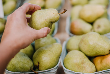 Farm fresh pears, organic healthy food