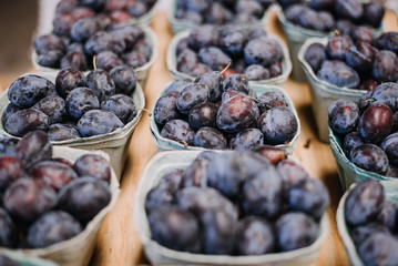 Farm fresh plums, organic healthy food