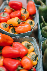 Farm fresh peppers