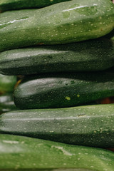 Farm fresh Zucchini, organic healthy food