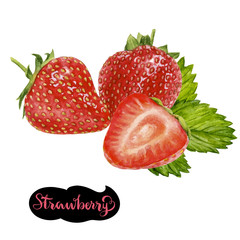 strawberry watercolor illustration