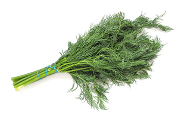 A bunch of dill greens isolated on a white background, tied with a blue elastic band