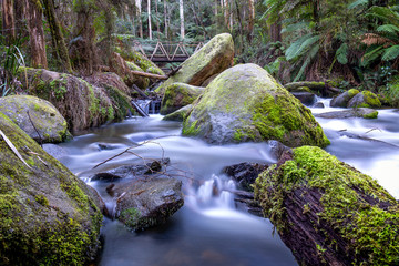 Naklejka na ściany i meble River flowing between rocks in the dandenong ranges in Australia. The stream is strong.