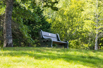 bench, park, garden, chair, grass, green, nature, summer, tree, seat, wooden, wood, furniture, outdoors, relaxation, outdoor, relax, chairs, lawn, spring, empty, nobody, rest, table, gardening