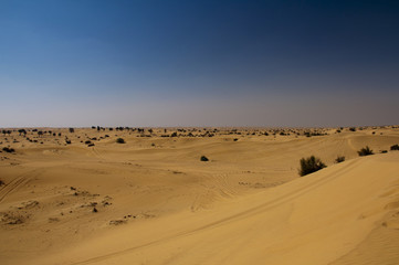 Fototapeta na wymiar Sand dune of Dubai