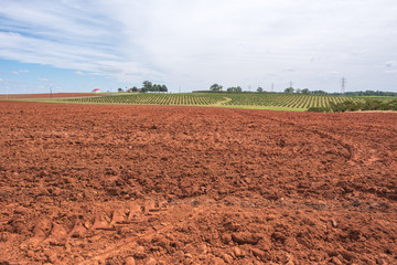 Field of dirt in upstate South Carolina, ready to be farmed.