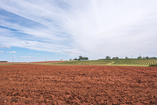 Field of dirt in upstate South Carolina, ready to be farmed.