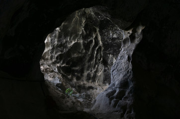 The dark caves are light with green trees.