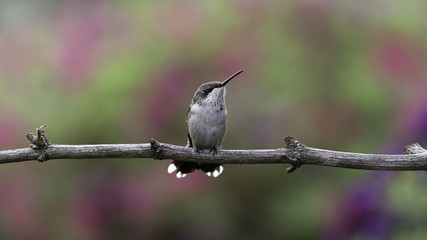 Looking Out for Number One