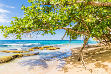 A typical view in Punta uva in Costa Rica