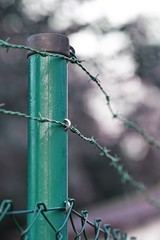 barbed wire fence, green color, securing a site