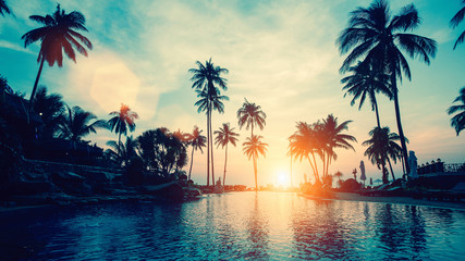 Geweldige zonsondergang op palm kust zee in subtropen.