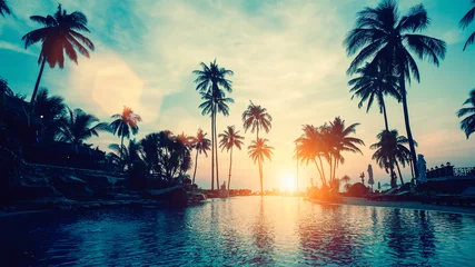 Crédence de cuisine en verre imprimé Mer / coucher de soleil Incroyable coucher de soleil sur la mer de la côte des palmiers dans les régions subtropicales.