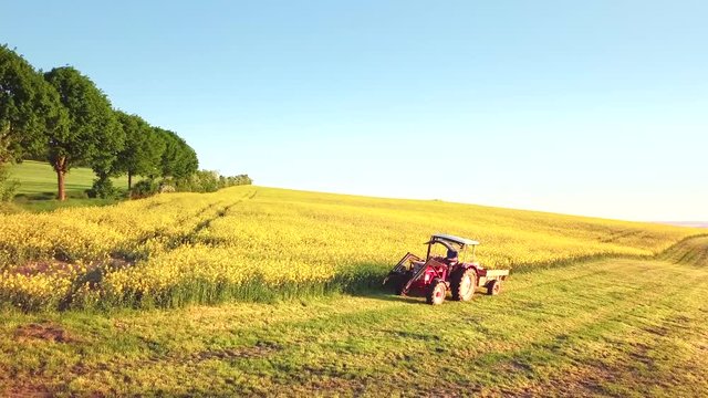 Luftaufnahme eines Rapsfeldes bei der Ernte