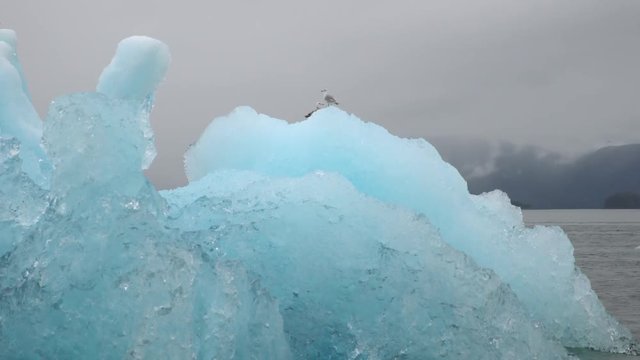 Birds sitting on iceberg in dark water with overcast sky