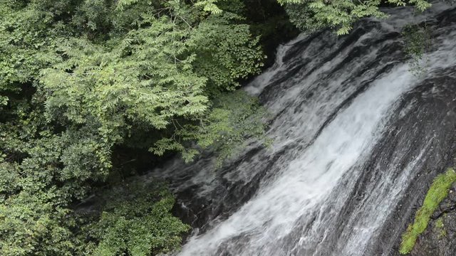 緑の森と布の滝