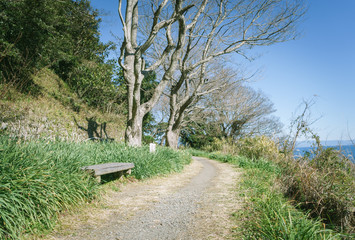ベンチのある風景　さった峠の遊歩道