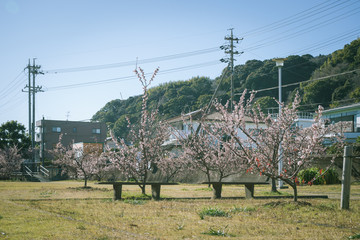 ベンチのある風景　清水清見潟公園