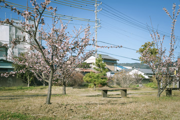 Obraz premium ベンチのある風景 清水清見潟公園