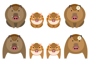 Cute boar family set