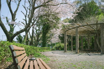 ベンチのある風景　本城山公園