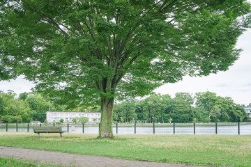 ベンチのある風景　門池公園