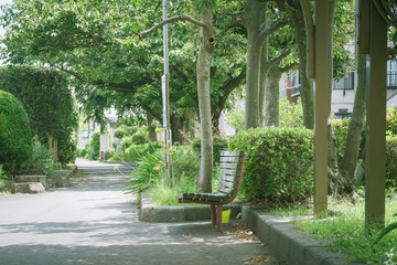 ベンチのある風景　蛇松緑道
