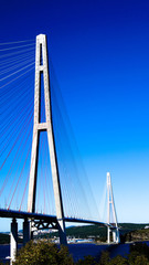 Fototapeta na wymiar Russian bridge - cable-stayed bridge in Vladivostok during the day