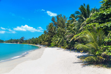 Tropical beach on Samui