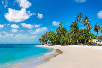 Plakat Tropical beach on Samui