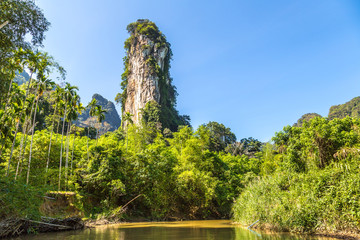 Fototapeta na wymiar Tropical rainforest in Thailand